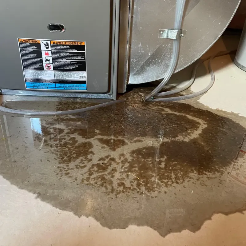 Appliance Leak Cleanup in Sayre, PA